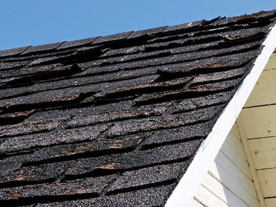 Sussex Roofing Images