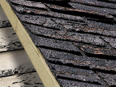 Sussex Roofing Images